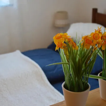 Kékablak Apartman *